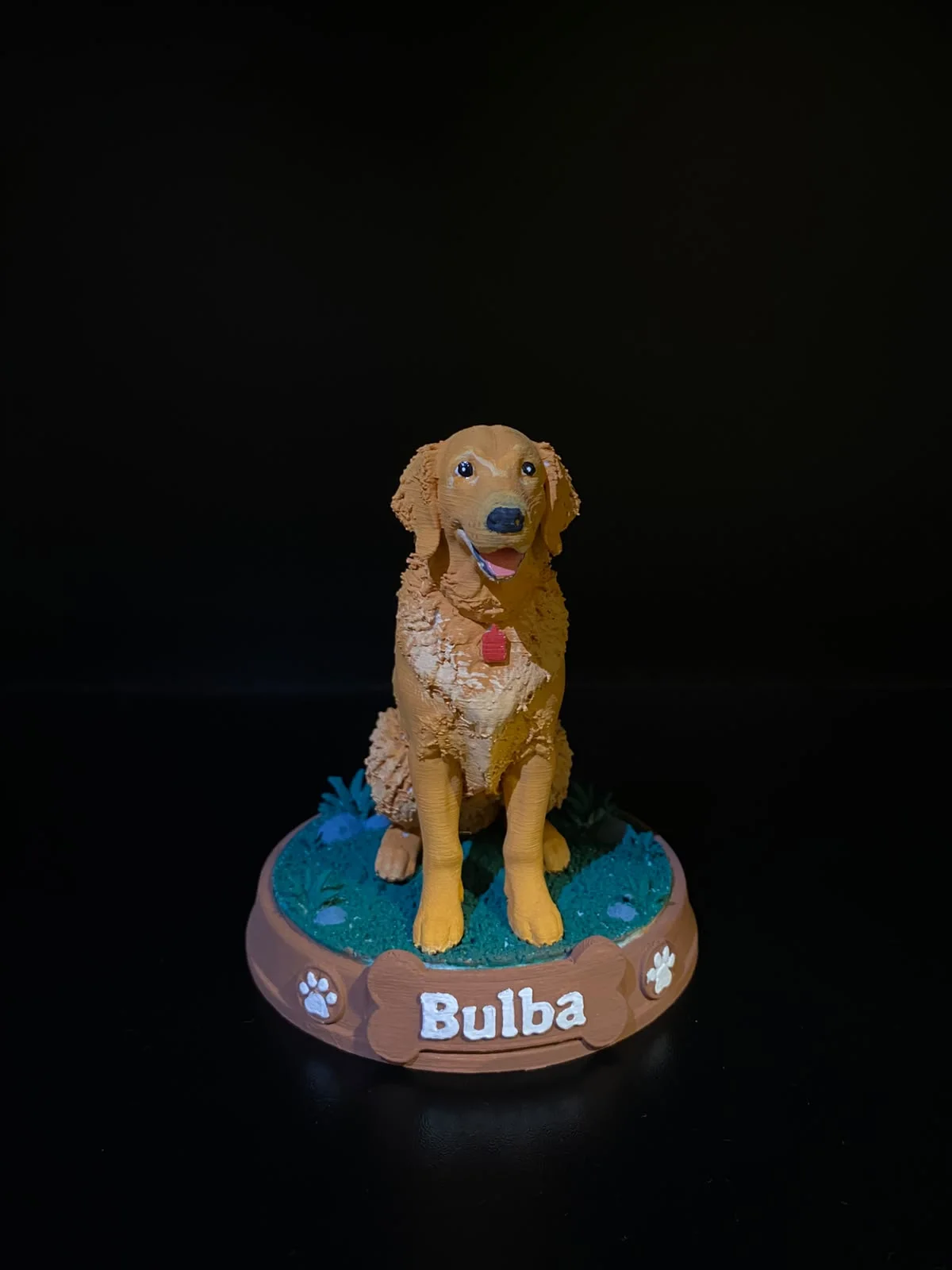 PET PERSONALIZADO